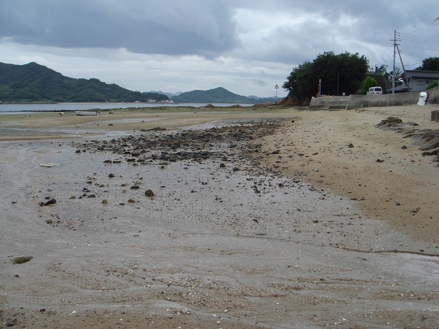 e0060485_81968.jpg