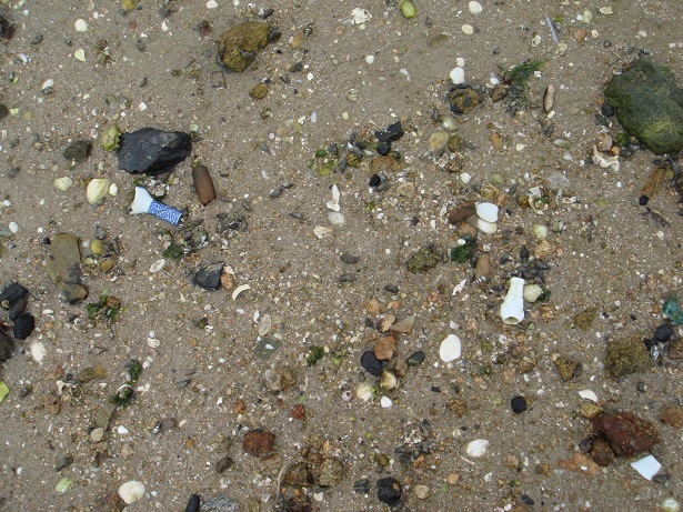 e0060485_843382.jpg