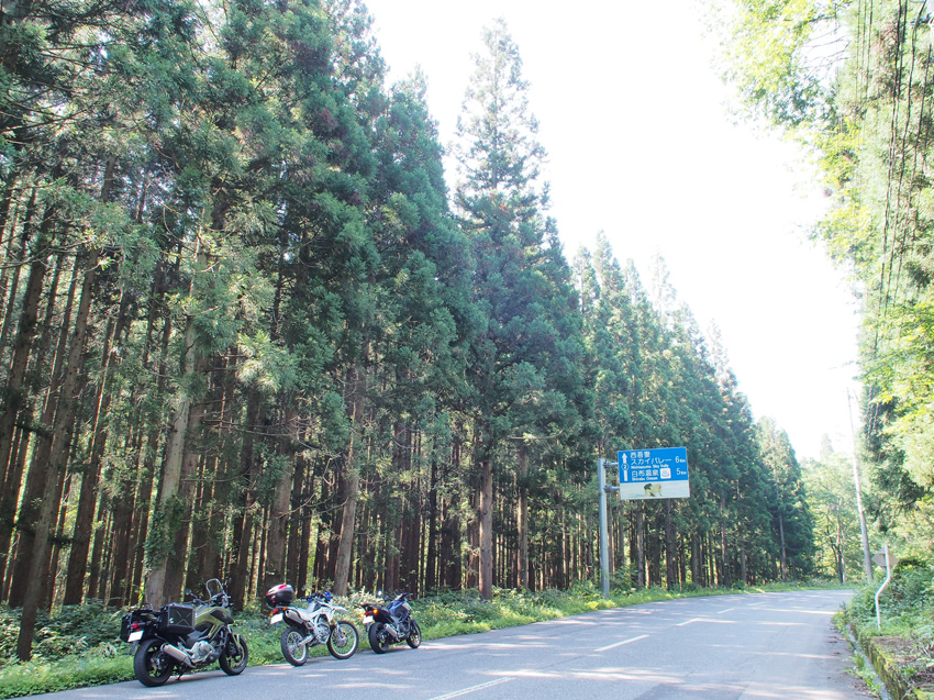 d0244687_1602687.jpg