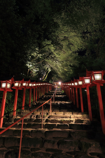 貴船神社 七夕笹飾りライトアップ_e0051888_761578.jpg