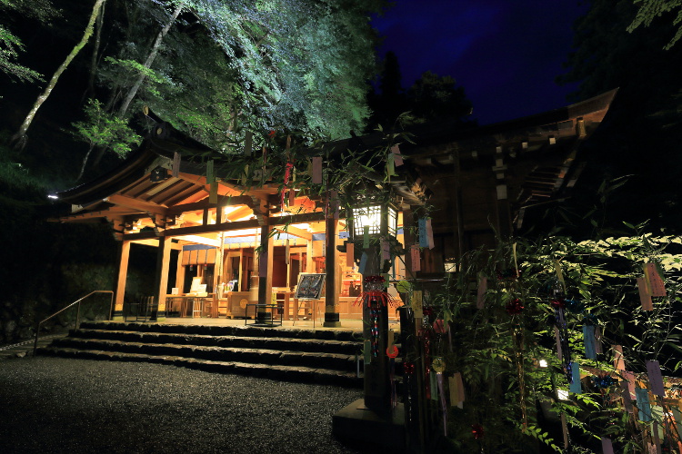 貴船神社 七夕笹飾りライトアップ_e0051888_762929.jpg