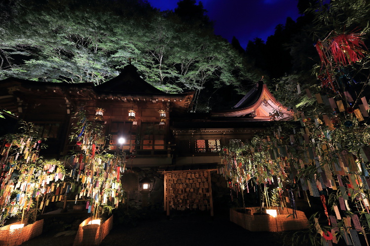 貴船神社 七夕笹飾りライトアップ_e0051888_764187.jpg