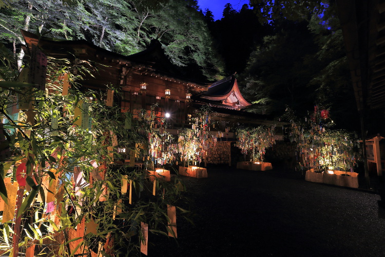 貴船神社 七夕笹飾りライトアップ_e0051888_76546.jpg