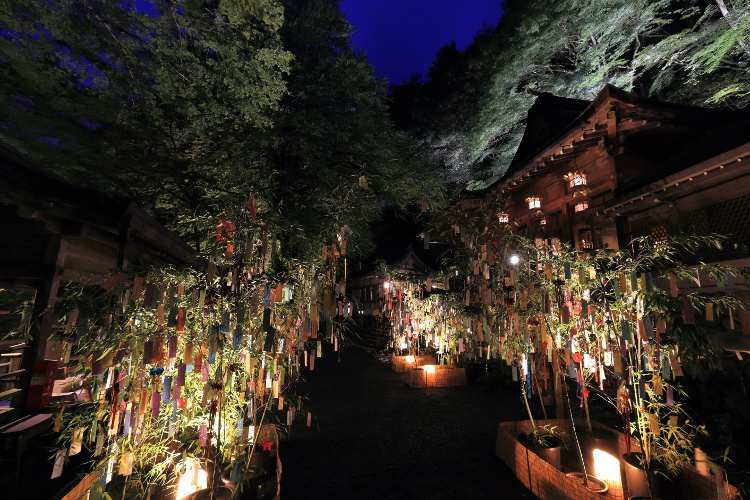 貴船神社 七夕笹飾りライトアップ_e0051888_77921.jpg