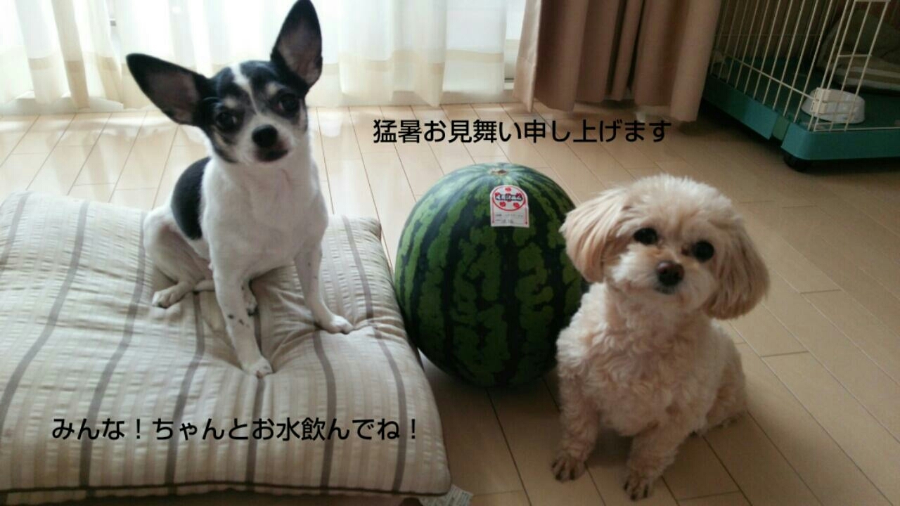 c0109891_07124571.jpg
