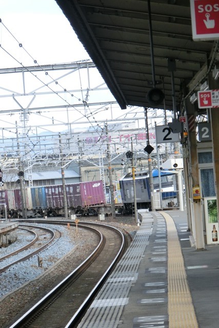 d0181492_174409.jpg