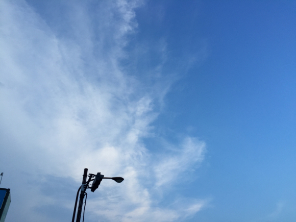 d0135694_19142595.jpg