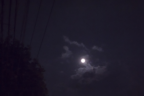 f0003598_15535329.jpg