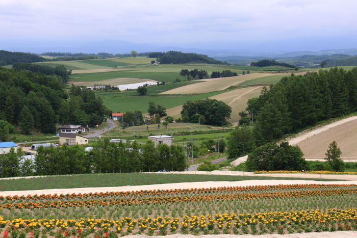 d0248502_16174360.jpg