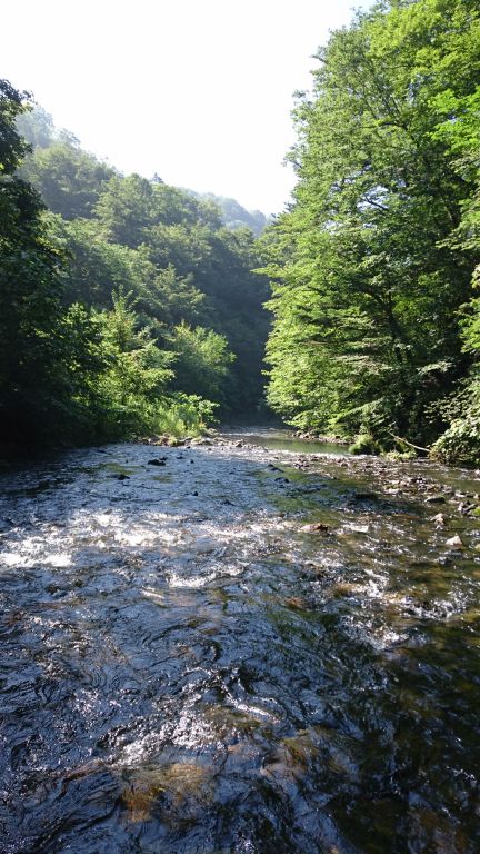 b0172805_2542384.jpg