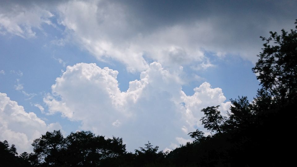 b0172805_2574994.jpg