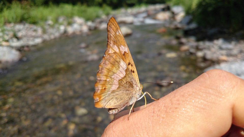b0172805_3281624.jpg