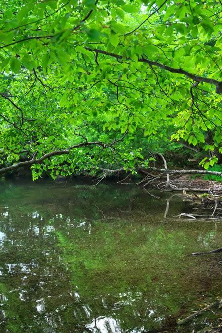a0263109_2101329.jpg