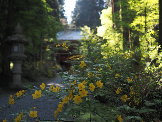 御岩神社　－茨城県日立市－_f0149209_21193498.jpg