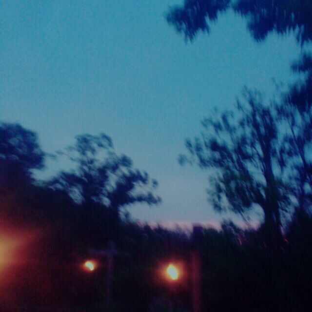 ディズニーシーの話(2/2)_d0021510_828086.jpg