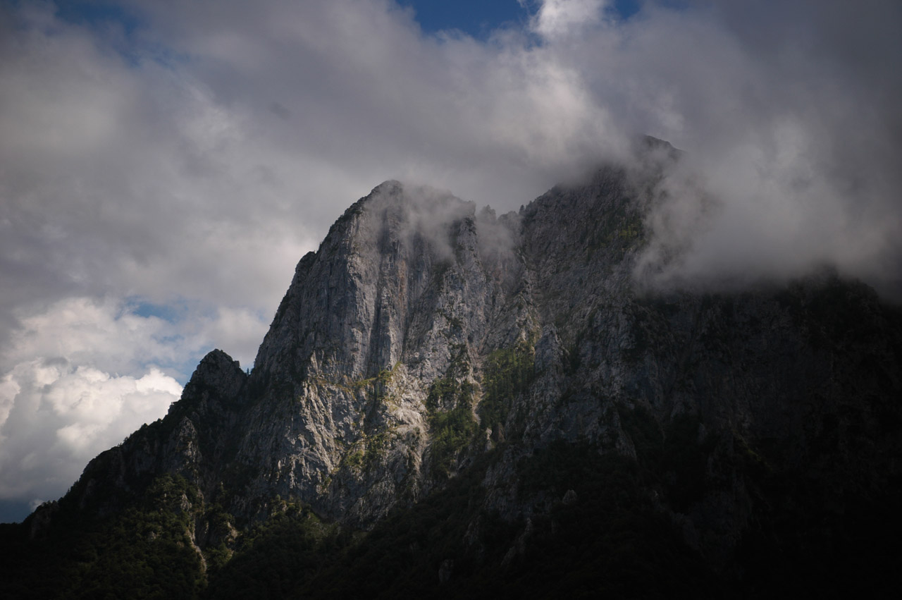 d0104210_647584.jpg