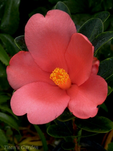 b0099813_015024.jpg