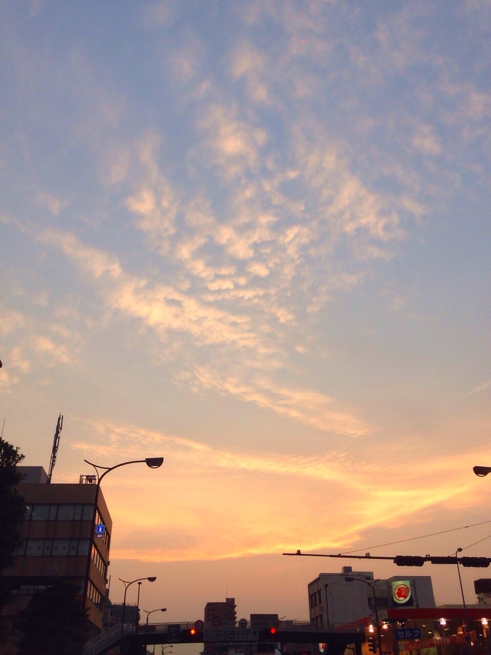 f0189813_08293835.jpg