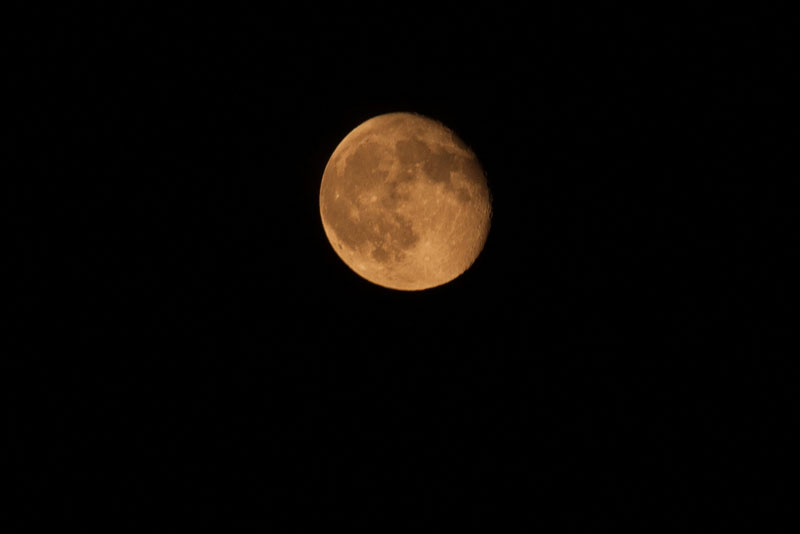 a0278914_5561710.jpg