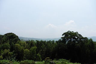 f0190020_08254598.jpg