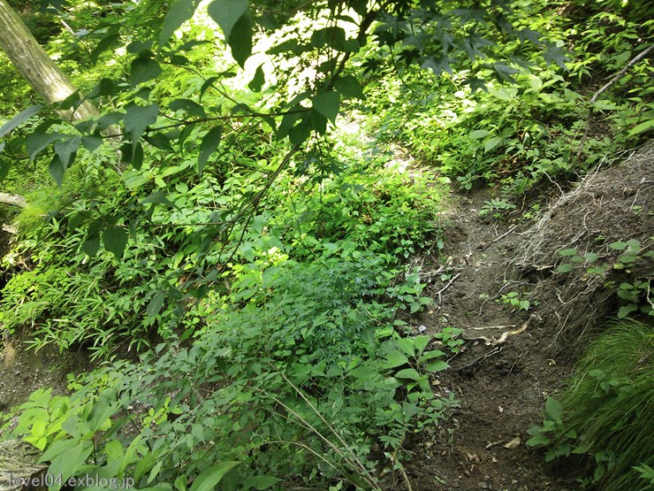 d0319222_993790.jpg