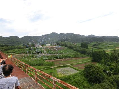 a0105023_21332151.jpg