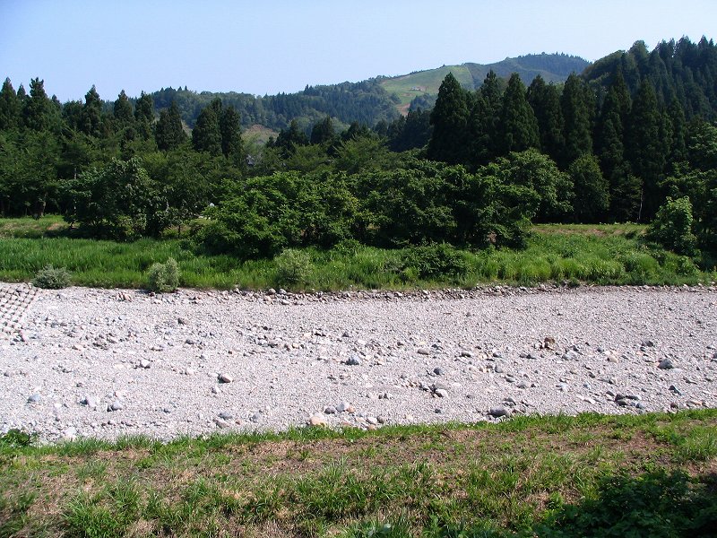 水無川が枯れて真夏に突入_d0015124_1692970.jpg