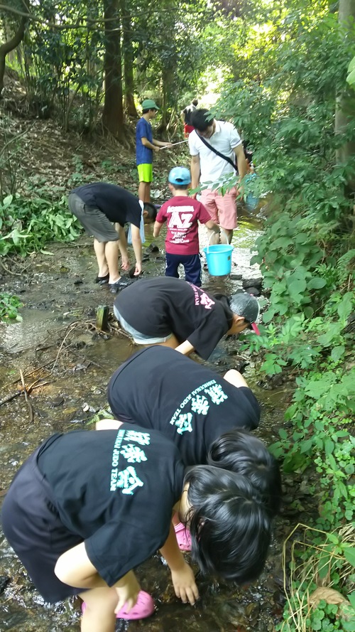 f0309126_113460.jpg
