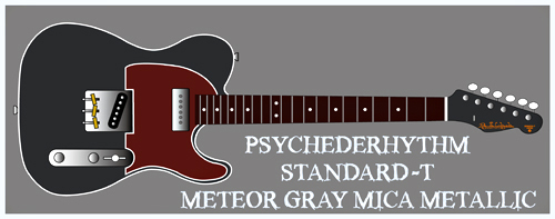 「Meteor Gray Mica MetallicのStandard-T」を発売!_e0053731_1415013.jpg