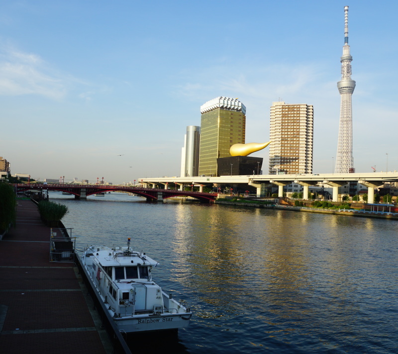 隅田川花火大会 2013年の雨で途中中止のリベンジ！_b0024832_00320276.jpg