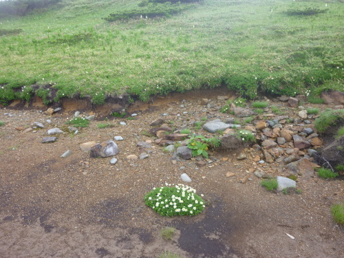b0298935_22244286.jpg