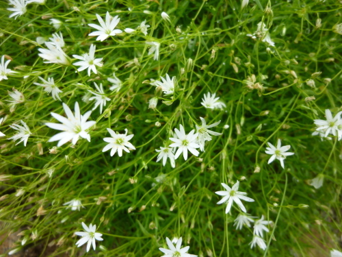 b0298935_22340701.jpg