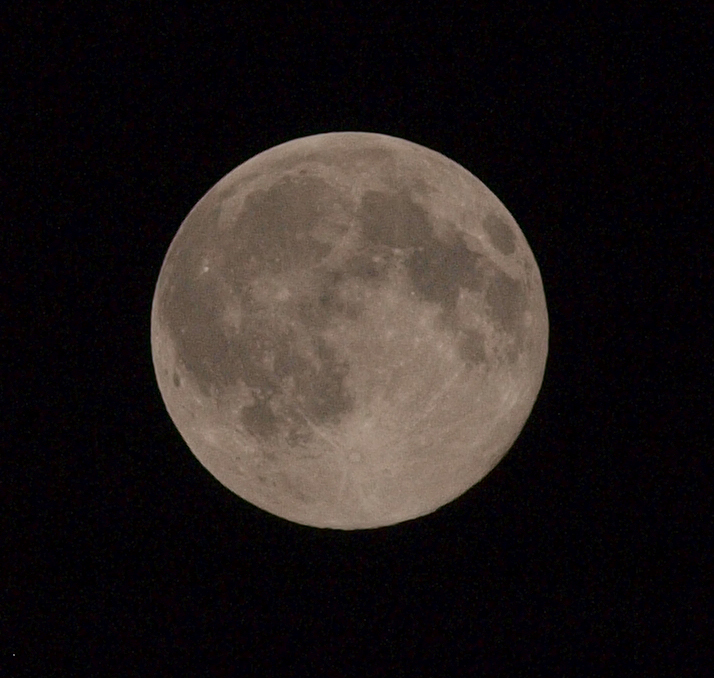 Blue Moon_c0174136_1431268.jpg