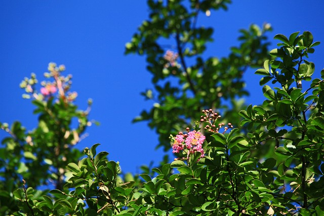 a0242438_19275692.jpg