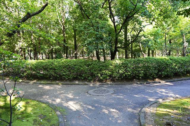 a0242438_19282234.jpg