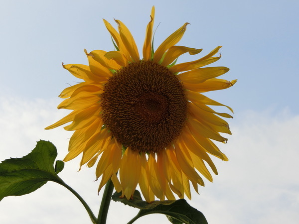 b0324239_21304407.jpg