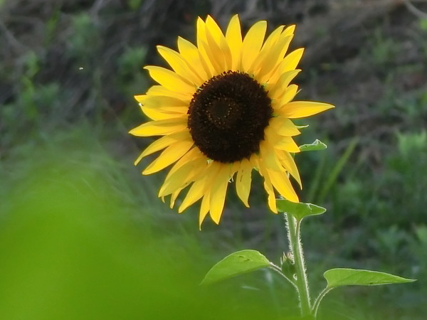 b0324239_21304919.jpg