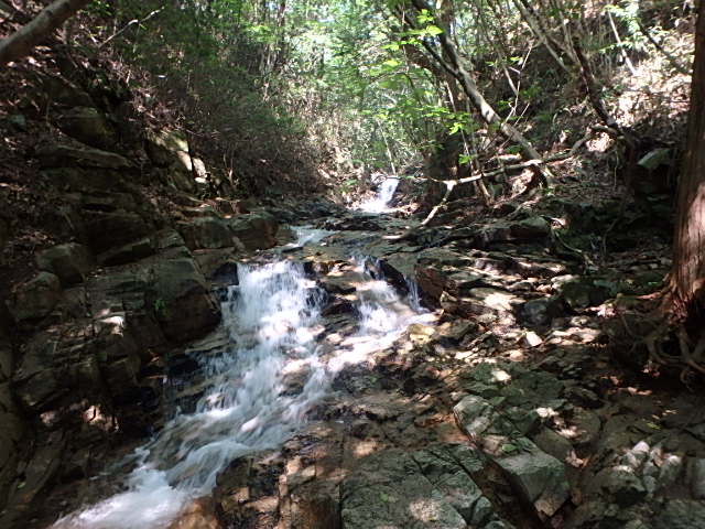 f0334143_8411248.jpg