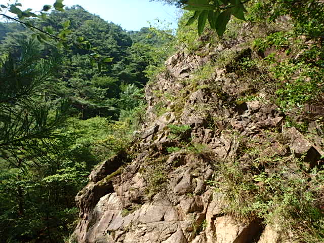 f0334143_8442493.jpg