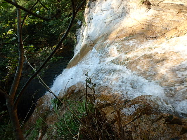 f0334143_844340.jpg