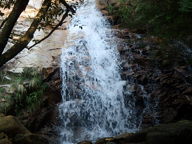 f0334143_8443966.jpg