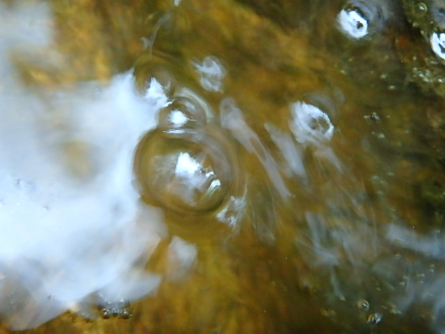 f0334143_8472531.jpg