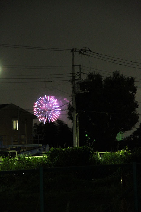 映画「アリのままでいたい」と花火大会。_a0307547_1202236.jpg