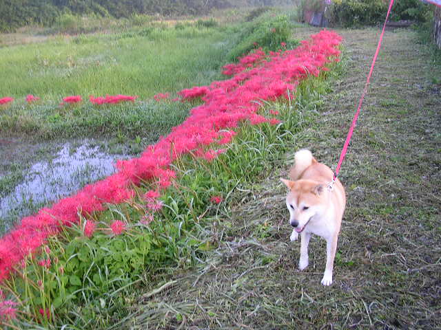 ’15,8,3(月)自由だけど無理しない!_f0060461_1238479.jpg
