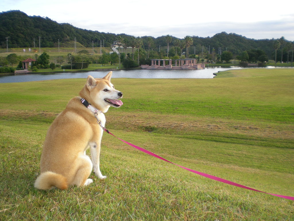 ’15,8,3(月)自由だけど無理しない!_f0060461_1285224.jpg
