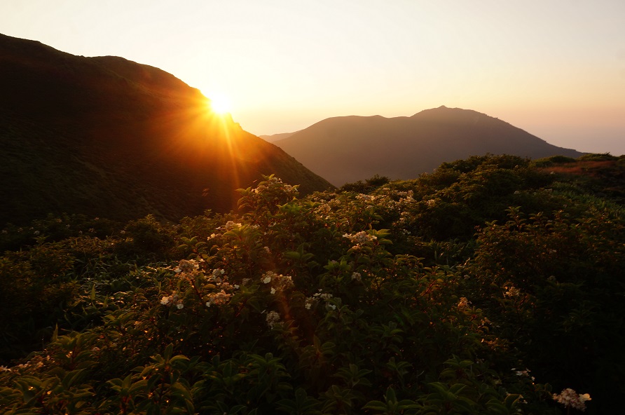 三俣山へ御来光登山・・・猛暑の九重山麓花散策。_f0016066_3292939.jpg