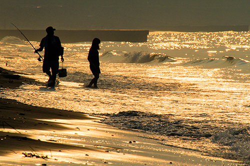a0157069_70212.jpg