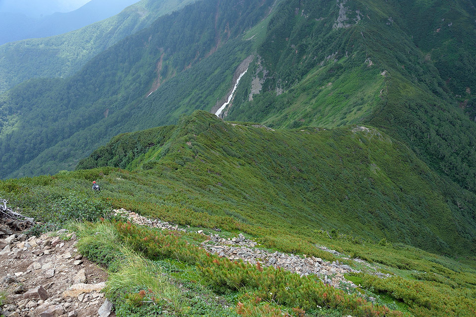 ニペソツ山　幻の花（2015/8/2）前編_f0109977_22352970.jpg