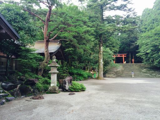 静かな時間のお供に ・・・_b0110582_19384273.jpg