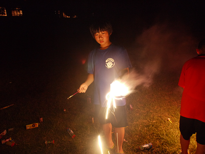 d0238083_2281481.png